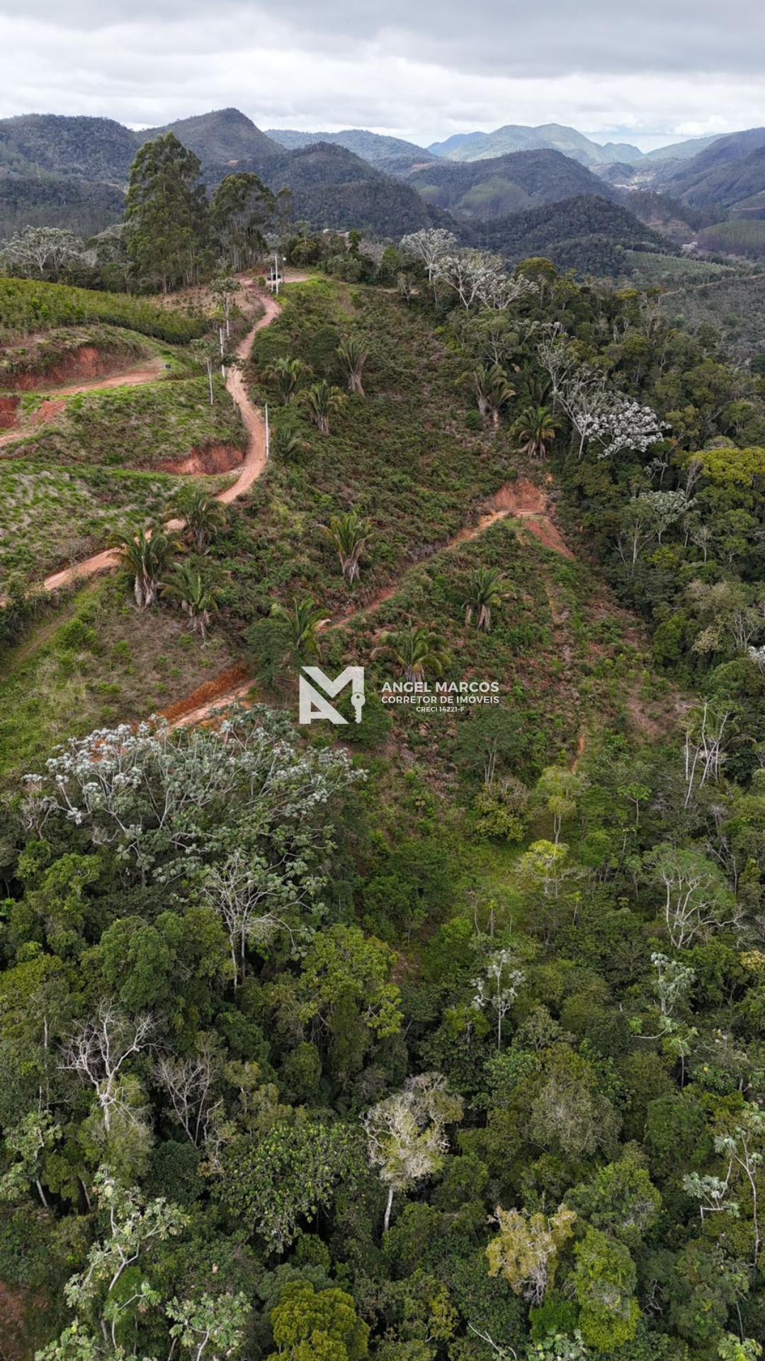 Imagem 5 da propriedade